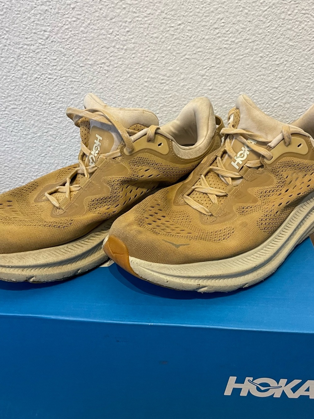 Hoka Men's Athletic Running Shoes in Tan